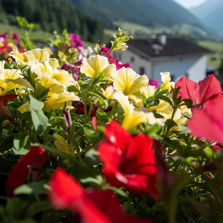 Haus Glueck Stubaital 公寓 *