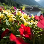 Haus Glueck Stubaital Appartement *