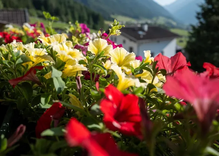 Haus Glueck Stubaital Apartmán *